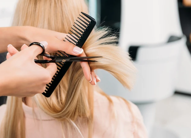 diagnostic coiffure à Membrolle-sur-Choisille près de Tours dans l'Indre-et-Loire 37