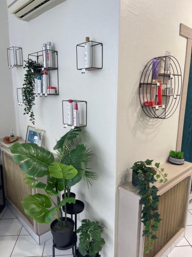 Rénovation du salon